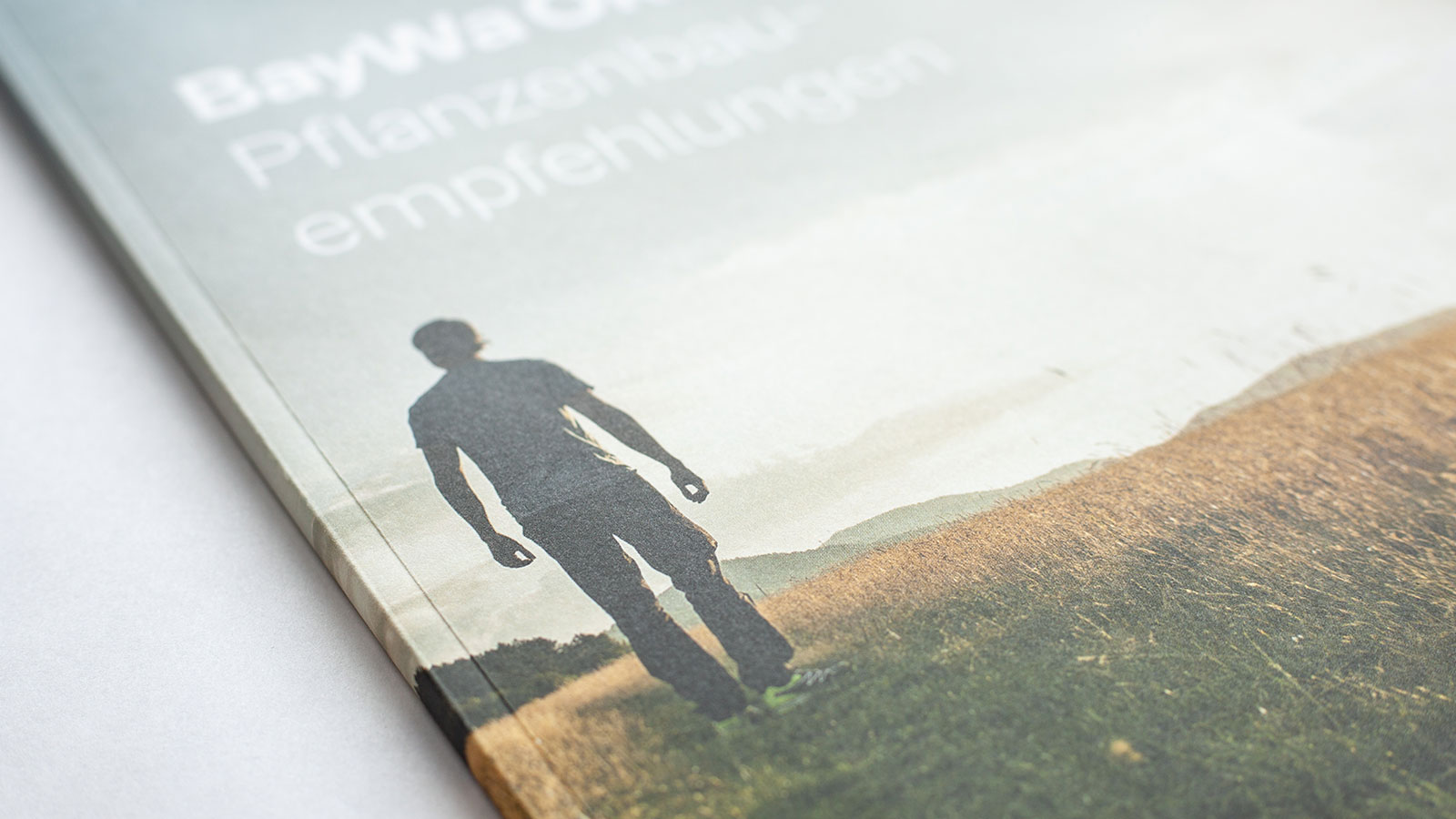 Cover der BayWa Pflanzenbauempfehlungen: Silhouette eines Landwirts auf einem Getreidefeld, BayWa-Schriftzug oben.