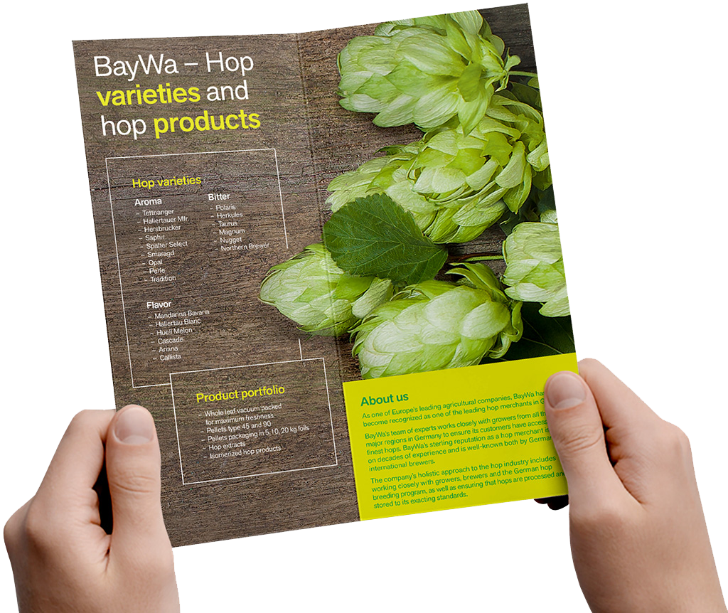 Hände halten aufgeschlagenen BayWa Hopfen Folder mit Übersicht der Hopfensorten und Produktportfolio, Hopfendolden-Fotografie rechts.