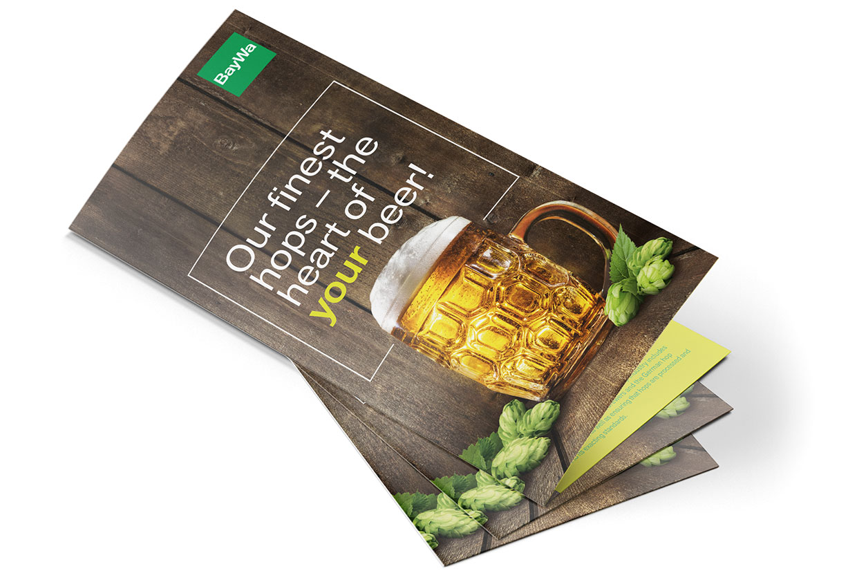Gestapelte BayWa Hopfen Messefolder mit Keyvisual-Cover, querformatig, BayWa-Logo oben links.