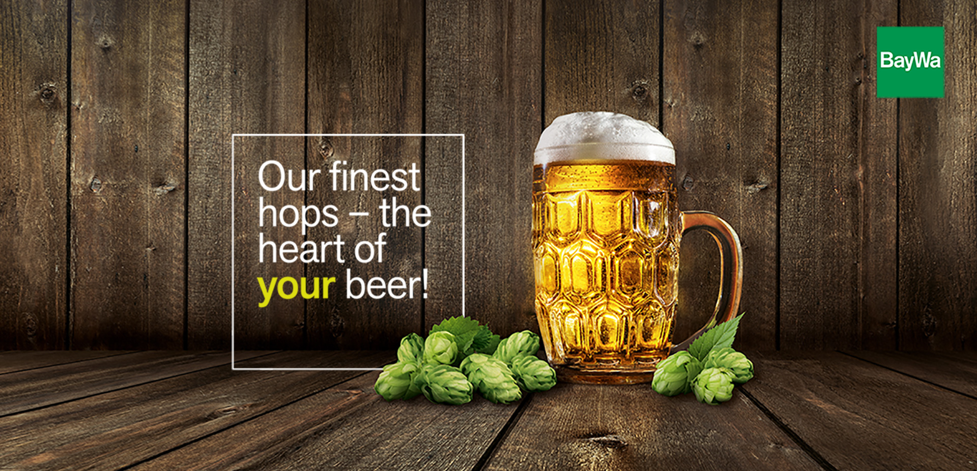 BayWa Hopfen Keyvisual: Bierkrug mit frischen Hopfendolden, Claim „Our finest hops – the heart of your beer!"